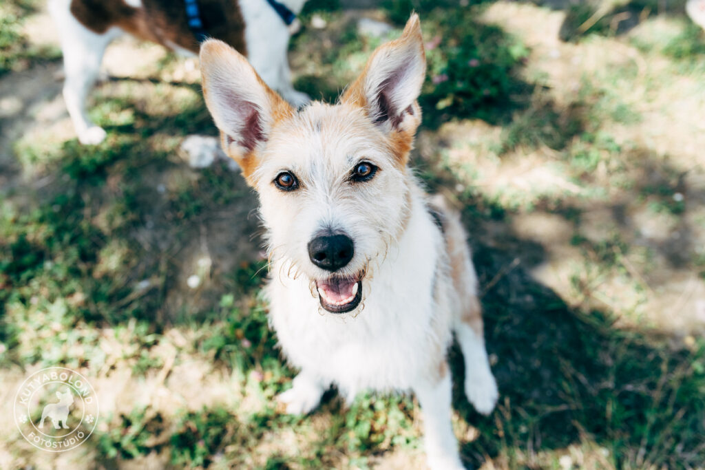 Ist sie sich wirklich sicher, was ich von ihr möchte?